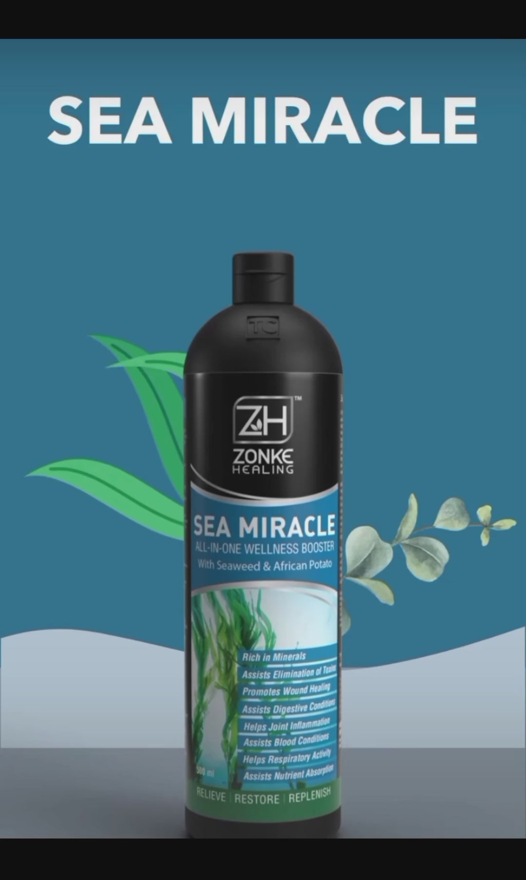 Sea Miracle